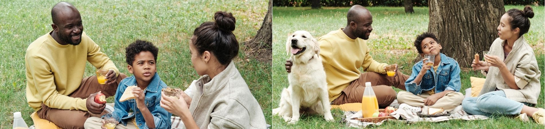 Bildcollage mit einer Familie und Hund beim Picknick auf einer Decke im Park mit Getränken und Snacks.